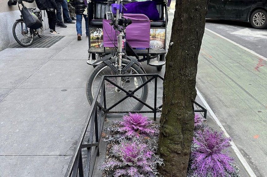 1 or 2 hour Central Park Pedicab Tour. 2