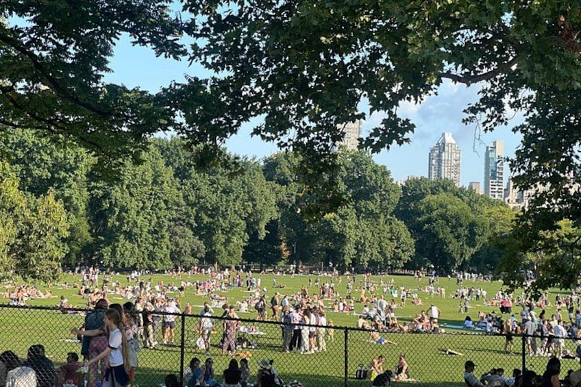1 or 2 hour Central Park Pedicab Tour. 3
