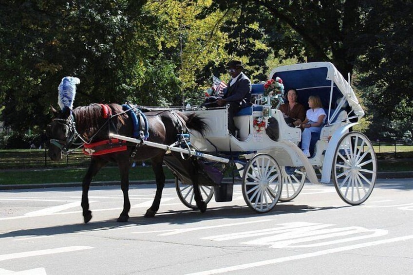Central Park Horse Carriage Ride 5