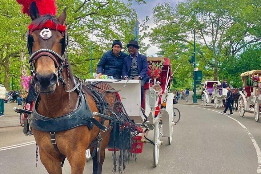 Central Park Horse Carriage Ride 2