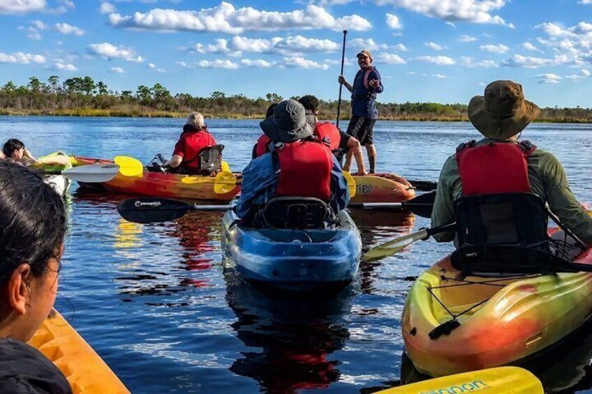 Small Group Manatee Discovery Kayak Tour near Orlando 2