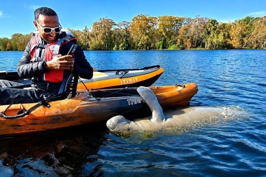 Small Group Manatee Discovery Kayak Tour near Orlando 2