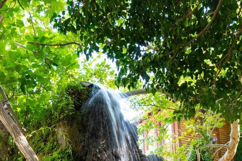 A waterfall surrounded by lush greenery and trees. 5