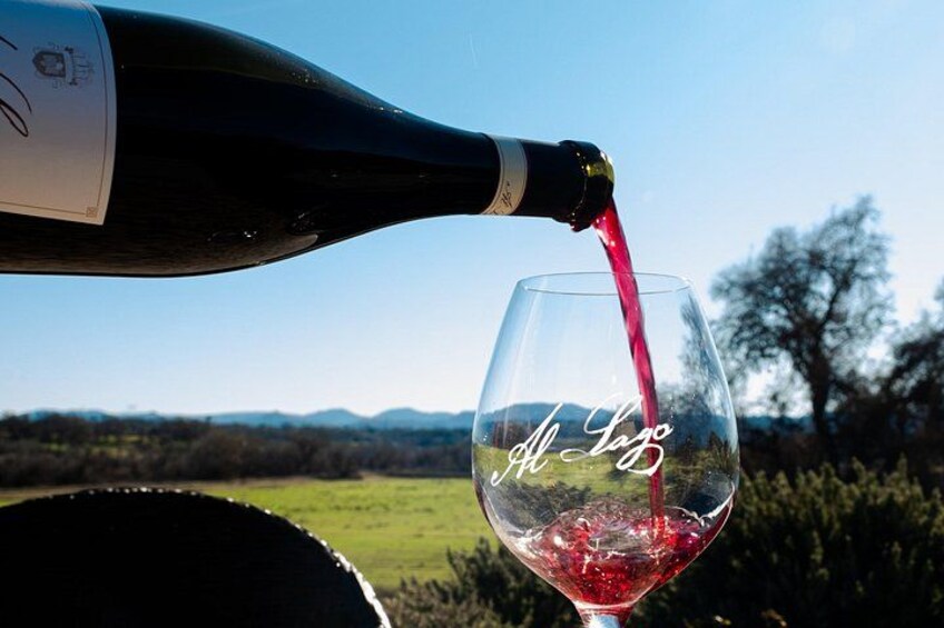 Paso Robles Sonata(Red Blend) Flight Wine Tasting 3