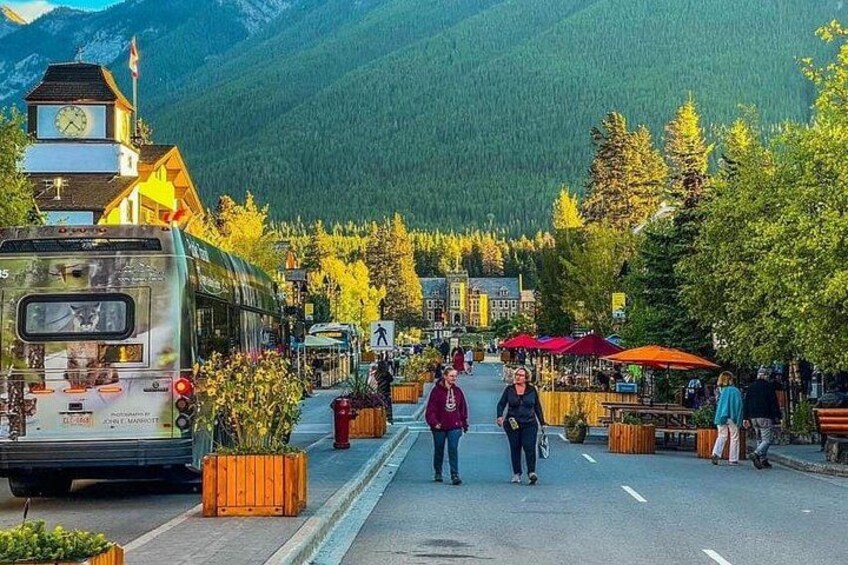 Banff Gondola, Lake Louise, Emerald Lake and Lake Minnewanka Tour 3