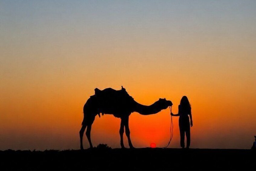 A camel and a person silhouetted against a sunset. 4