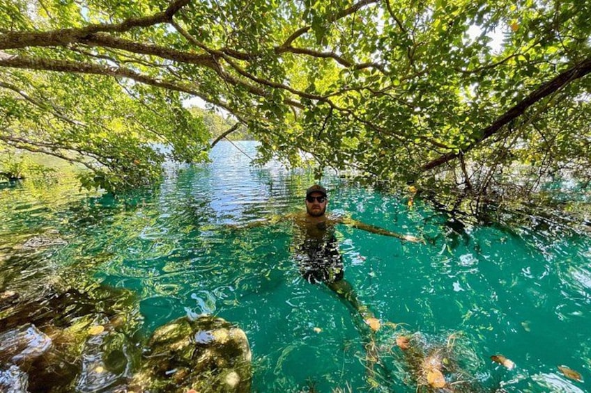 Une personne nage dans une eau claire, entourée d’arbres. 5