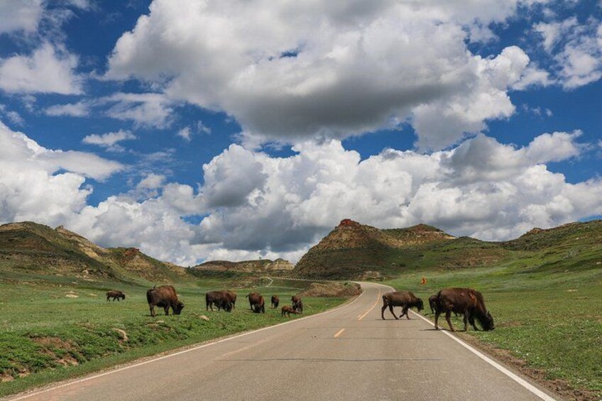 Theodore Roosevelt National Park Self-Guided Audio Tour 1
