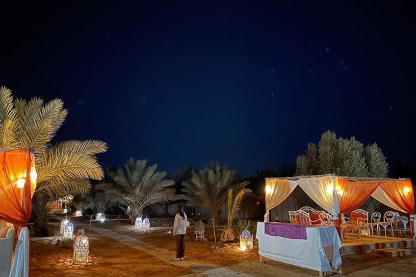 An outdoor event with a decorated table, palm trees, and string lights. 5