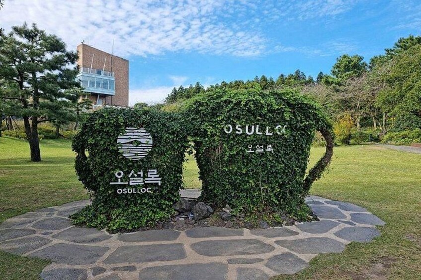 Jeju Customized Private Car Tour 2