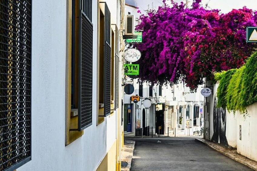 Lagos to Sagres Private Guided Tour 5
