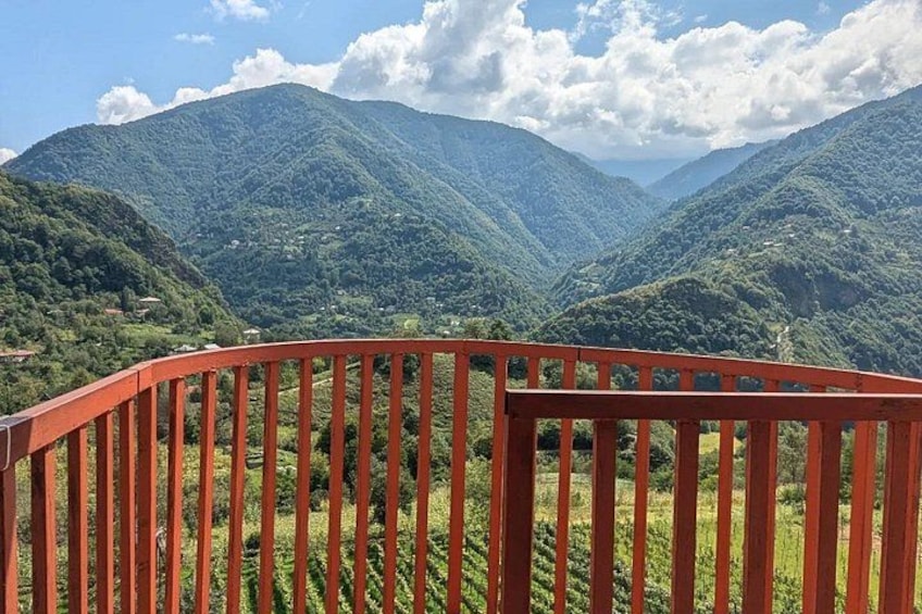 Wine and Dine Tour To Batumi Waterfalls - Mountainous Adjara 2