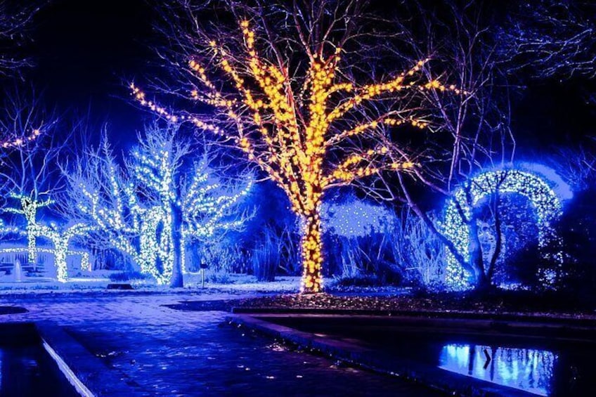 Franklin’s Festive Lights Spectacular A Christmas Wonderland Tour 5