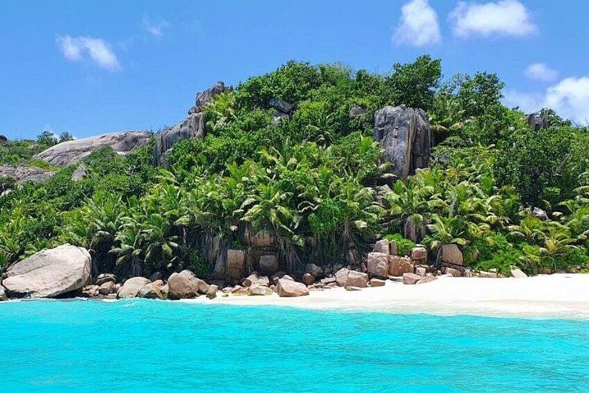 Una playa tropical con aguas turquesas cristalinas, palmeras y afloramientos rocosos. 4