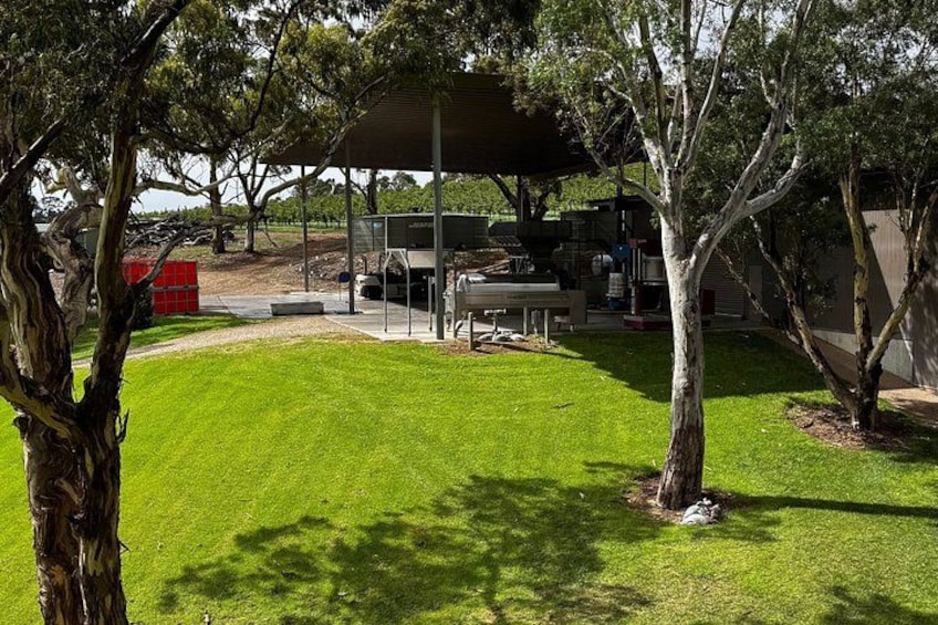 Discover Barossa: 4 Wine Tastings, Gourmet Lunch, and Hidden Gems 2