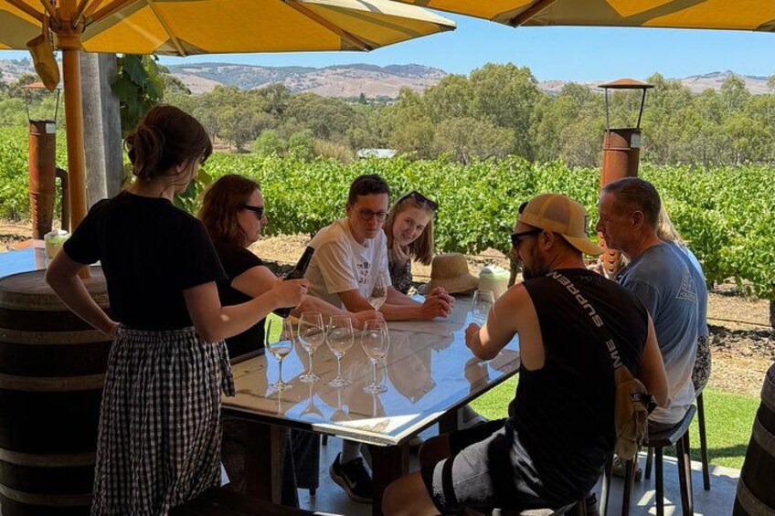 Discover Barossa: 4 Wine Tastings, Gourmet Lunch, and Hidden Gems 4