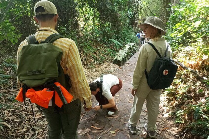A person in a forested area, wearing a hat and carrying a backpack. 5
