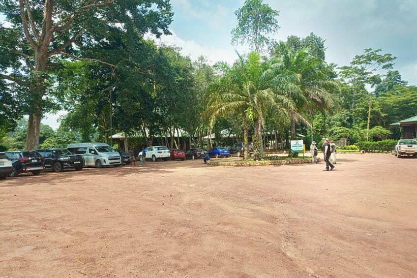 A parking lot with several cars, a dirt ground, and palm trees. 4