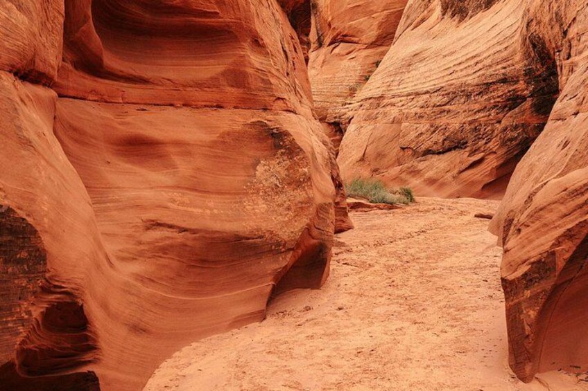 A narrow canyon with red rock walls and a dirt path. 4