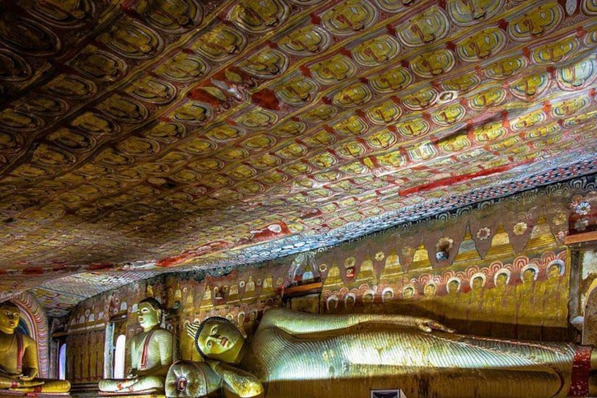 Private Day Trip to Sigiriya cave and National park Safari Tour 2