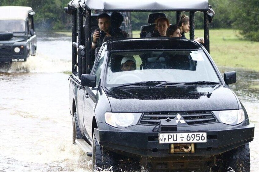 Wilpattu Private Safari From Sigiriya or Habarana 5