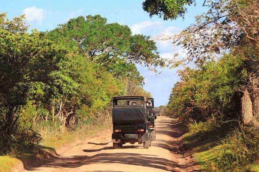 A vehicle driving on a dirt road surrounded by trees. 4