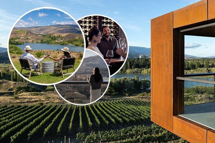 A vineyard with rows of grapevines, a lake, and a wooden structure with a glass window. 1