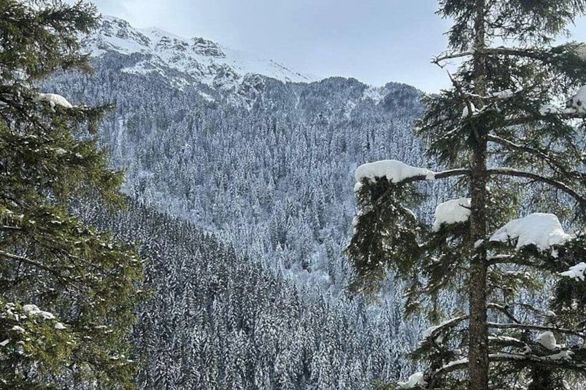 Trabzon Sümela Monastery and Hamsiköy Daily Tour 5