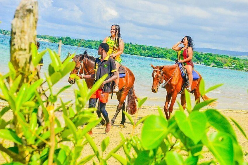 Horseback Riding and Swim Experience 2