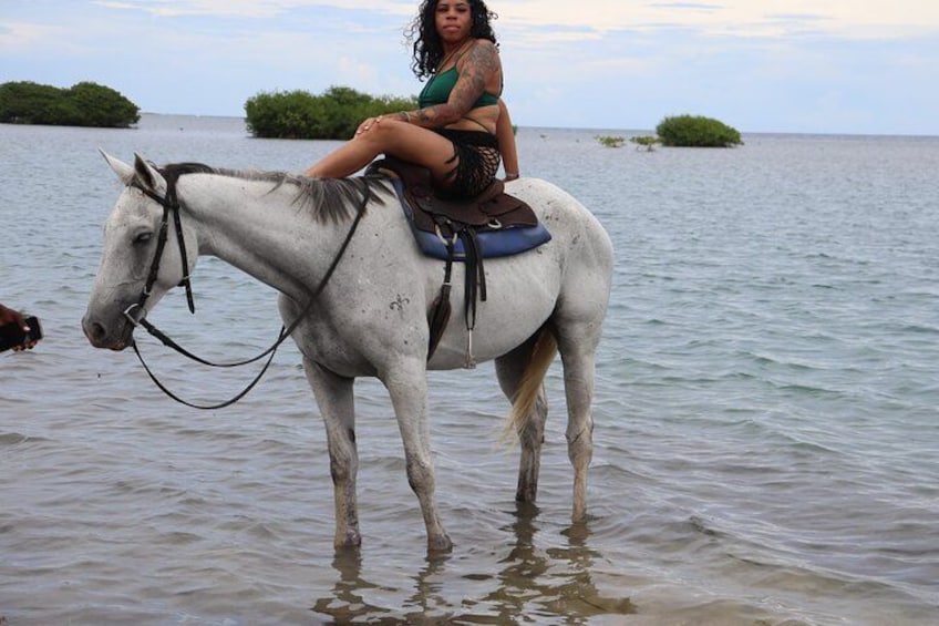 Una persona montando un caballo blanco en aguas poco profundas, con vegetación al fondo. 4