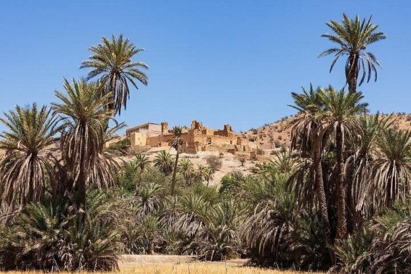 Taroudant and tiout day trip 5