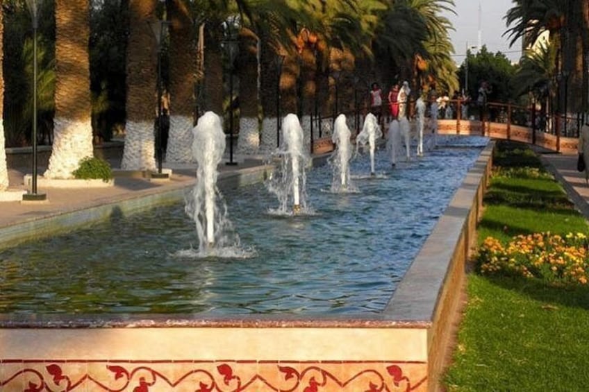 Taroudant and tiout day trip 3