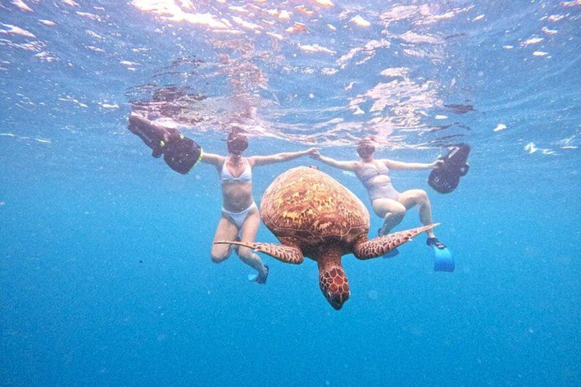 Eco Friendly Sea Scooter Turtle Tour in Rarotonga 2
