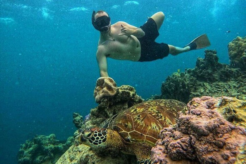 Eco Friendly Sea Scooter Turtle Tour in Rarotonga 4