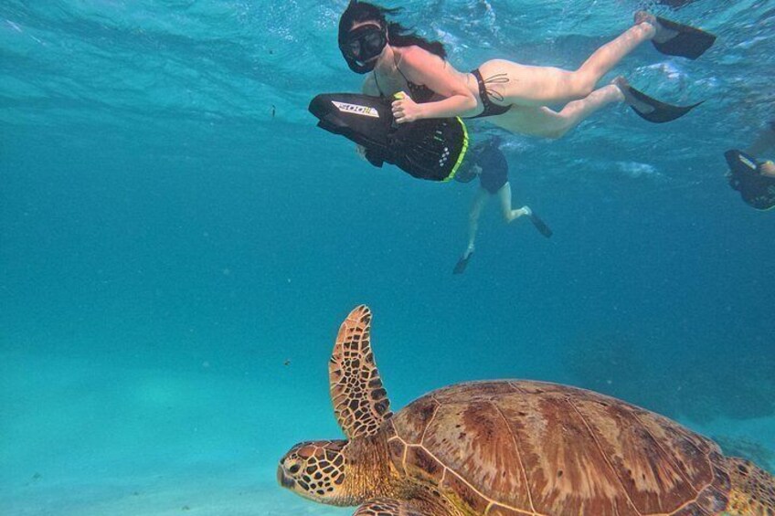 Eco Friendly Sea Scooter Turtle Tour in Rarotonga 2