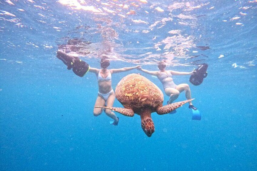 Eco Friendly Sea Scooter Turtle Tour in Rarotonga 2