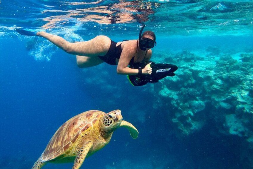 Eco Friendly Sea Scooter Turtle Tour in Rarotonga 2