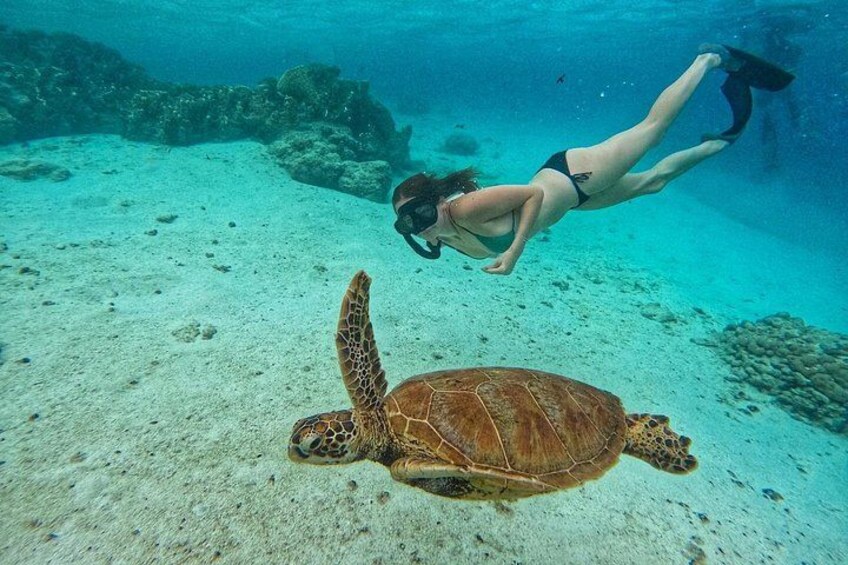 Eco Friendly Sea Scooter Turtle Tour in Rarotonga 4