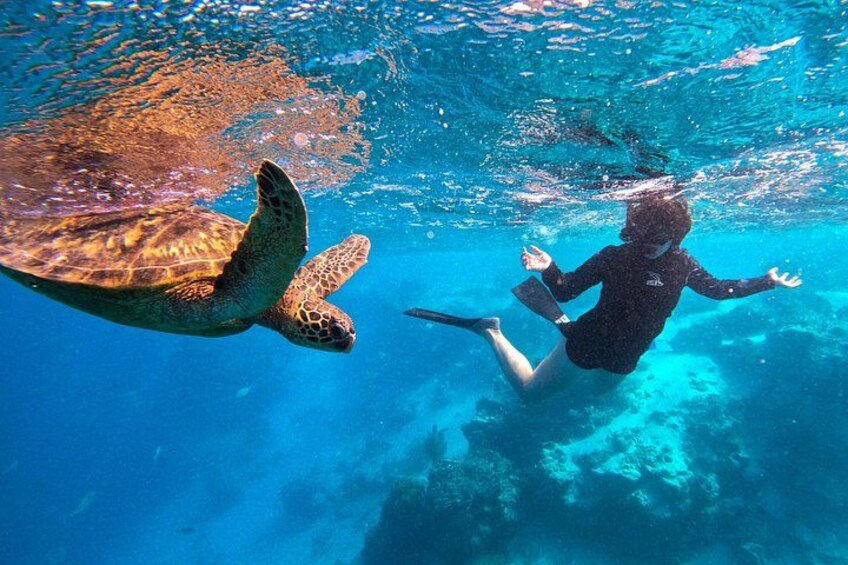 Eco Friendly Sea Scooter Turtle Tour in Rarotonga 5