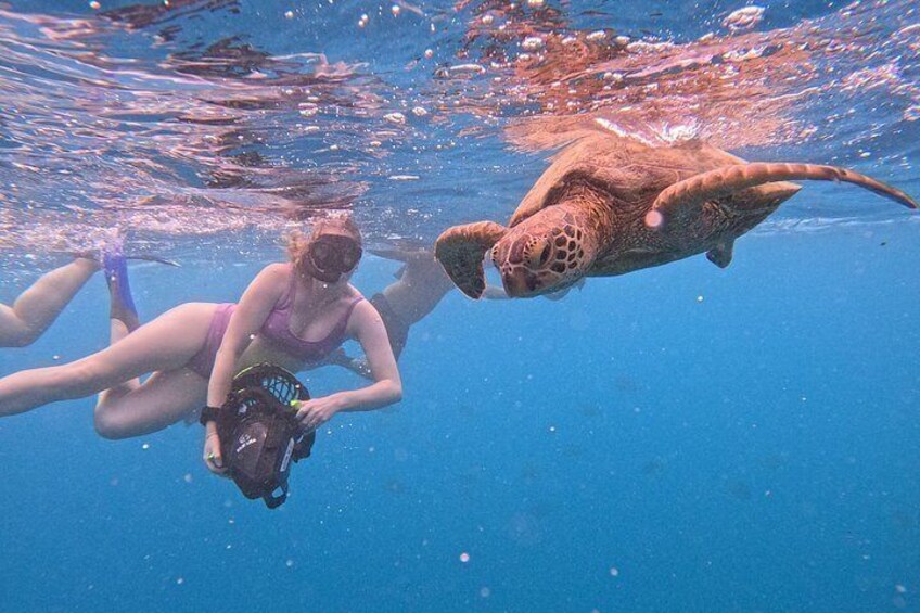 Eco Friendly Sea Scooter Turtle Tour in Rarotonga 3