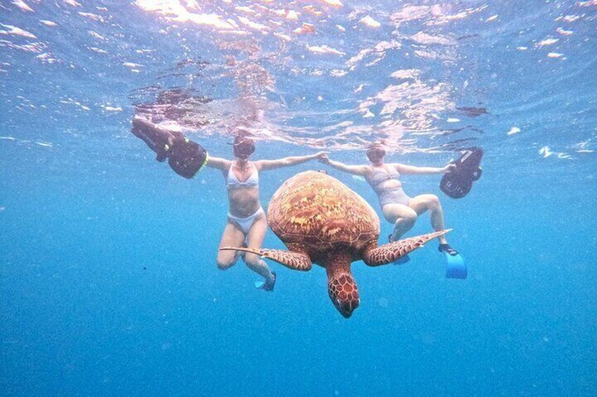 Une personne nageant avec une tortue de mer dans une eau bleue et cristalline. 2
