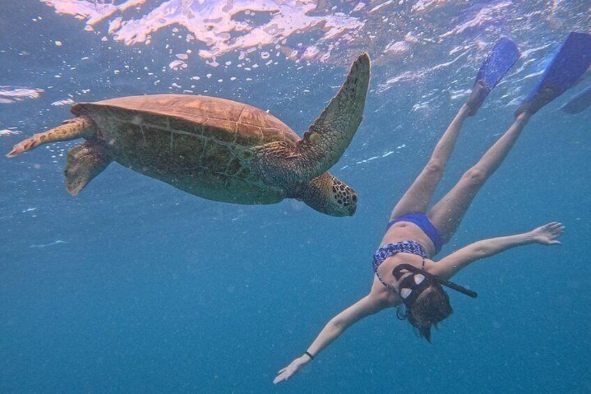 Eco Friendly Sea Scooter Turtle Tour in Rarotonga 4