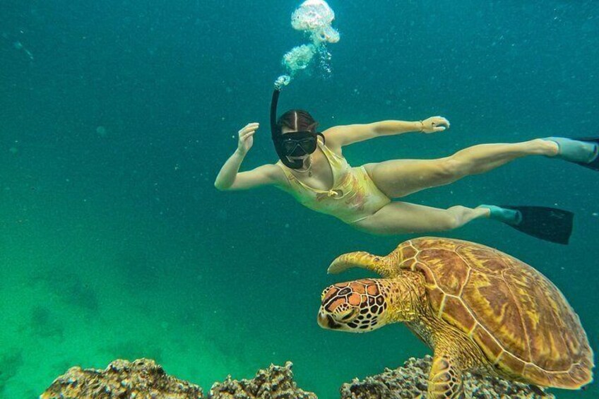 Eco Friendly Sea Scooter Turtle Tour in Rarotonga 2