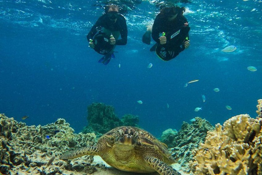 Eco Friendly Sea Scooter Turtle Tour in Rarotonga 3
