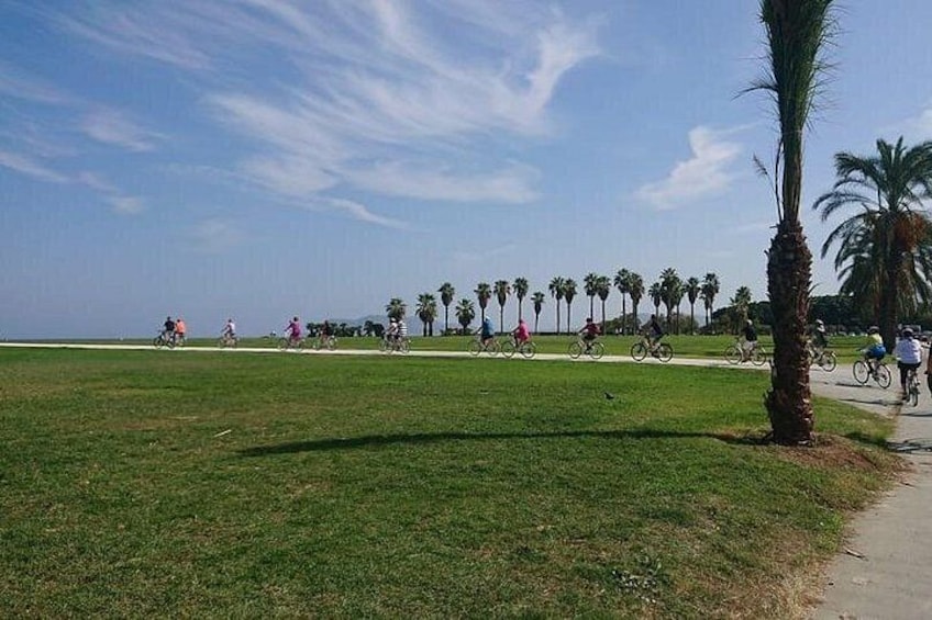 Hidden Palermo Bike Tour with Organic Wine Tasting 3