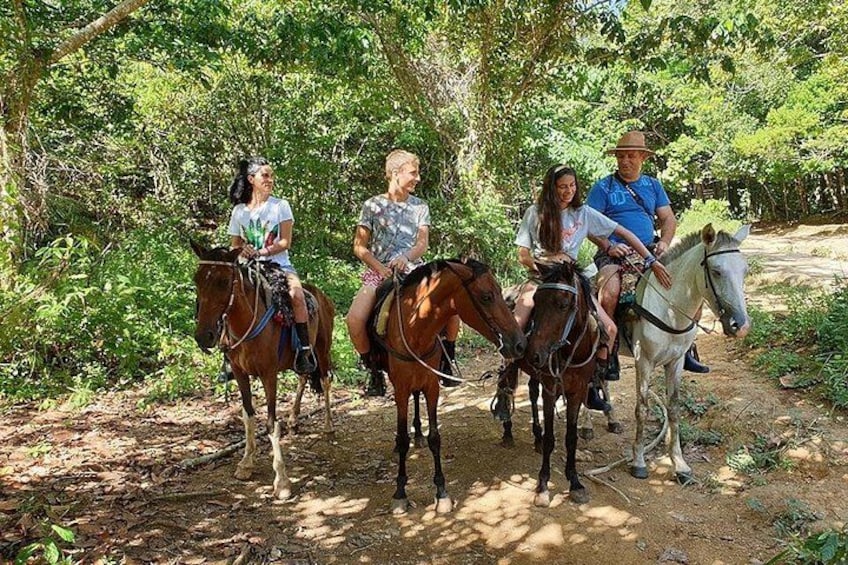 Quatre personnes à cheval, sur un chemin de terre bordé d’arbres. 2
