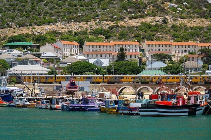 Cape Peninsula Private Full Day Tour 3