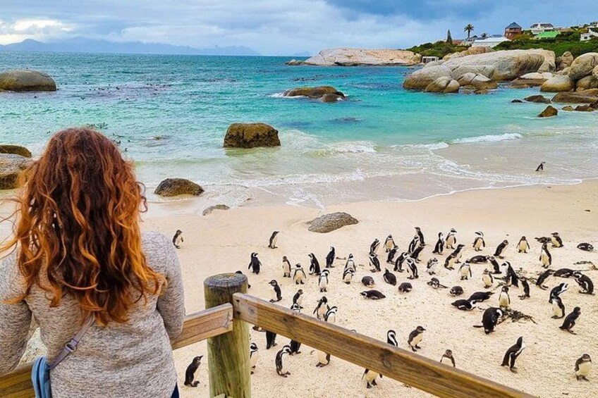 Cape Peninsula Private Full Day Tour 5