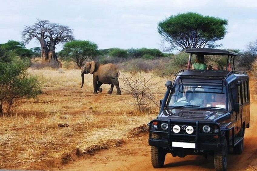 Hluhluwe Imfolozi Big 5 Game Reserve Tour from Durban 3