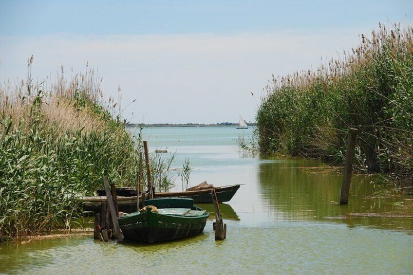 From Valencia: Albufera Boat Ride, Sunset & Paella Included 3